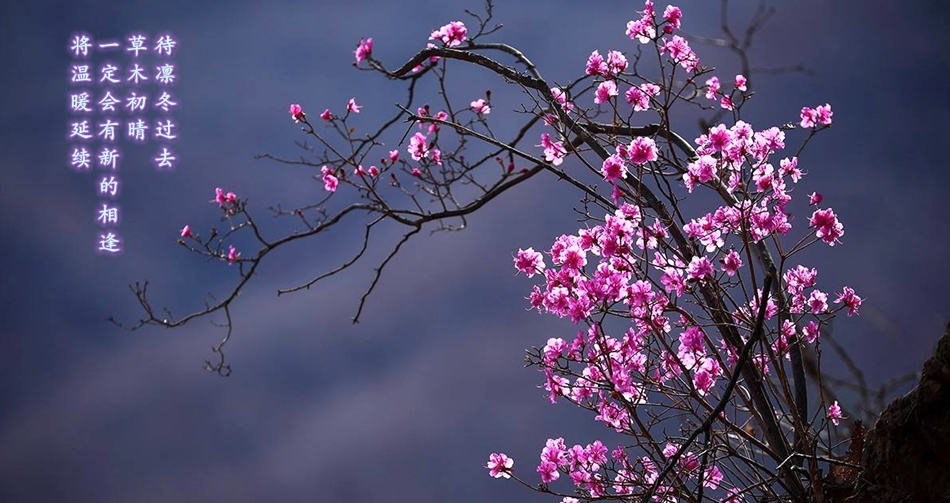 尊龙凯时 - 人生就是搏!