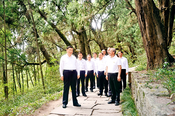 尊龙凯时 - 人生就是搏!